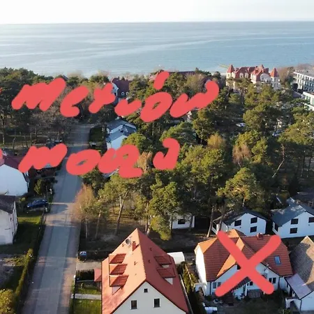 Latarenka Нехоже