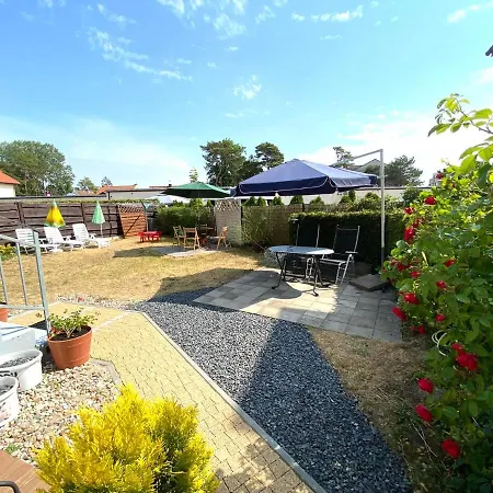 Latarenka * Нехоже